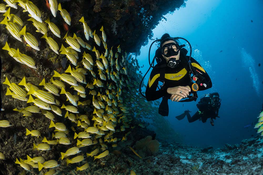 Scuba Diving in the Maldives.