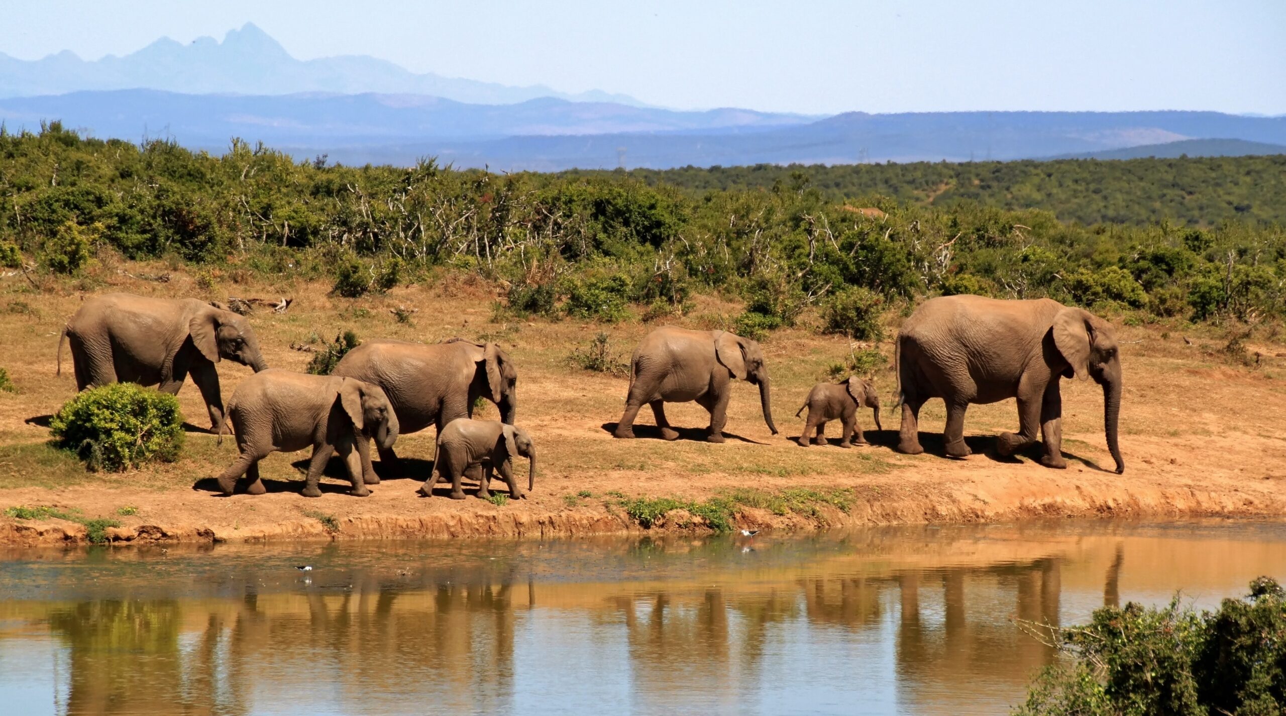 Romantic Safaris, Couples Travel to Africa