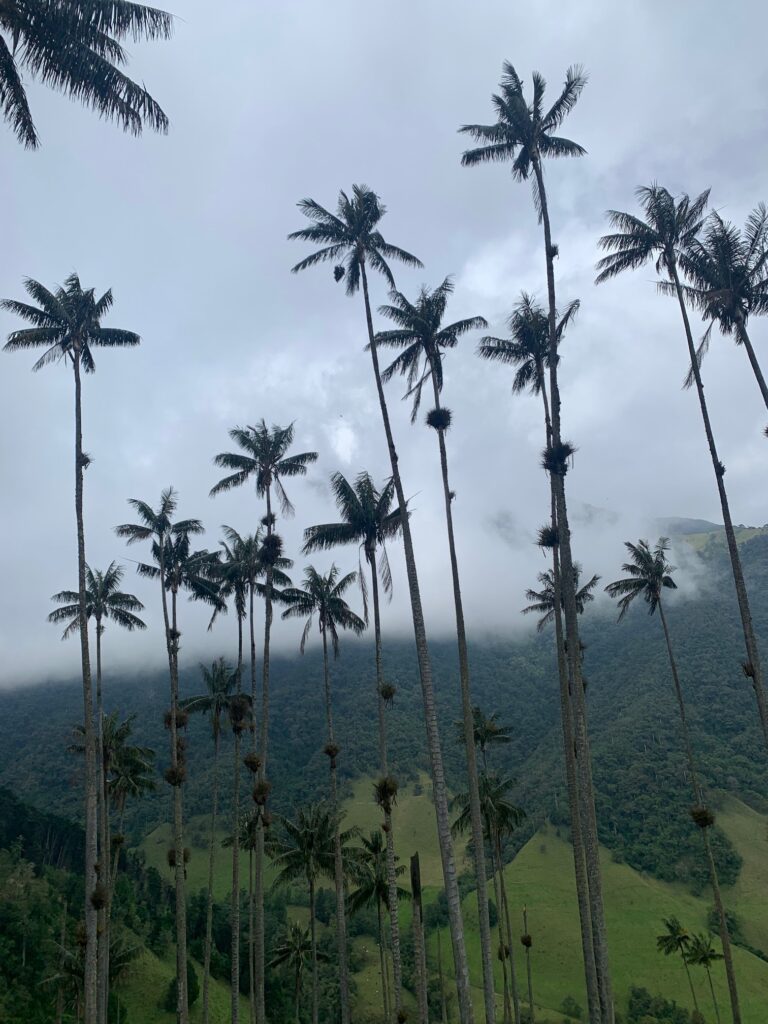 what to see in colombia