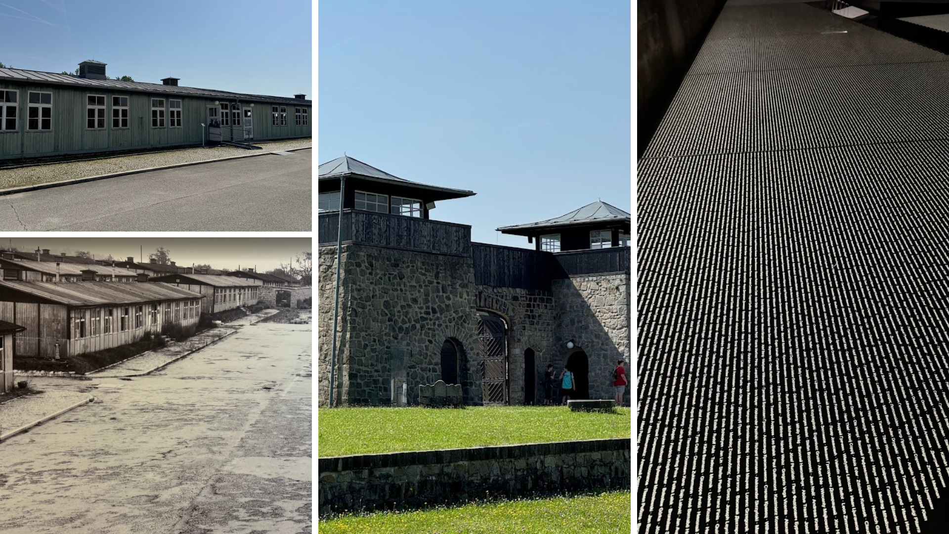 Riverside Danube River Cruise