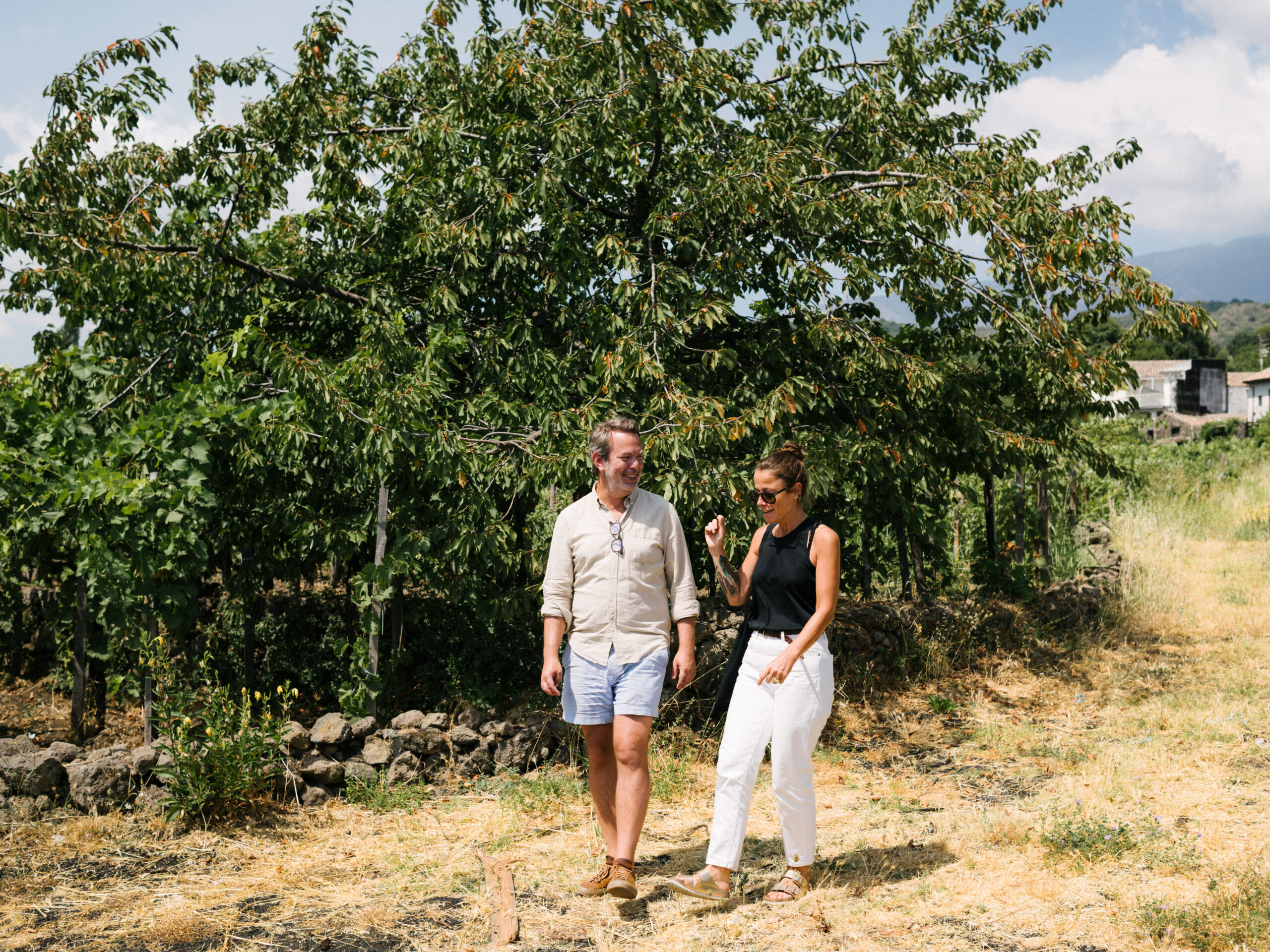when is the best time to cruise the mediterranean