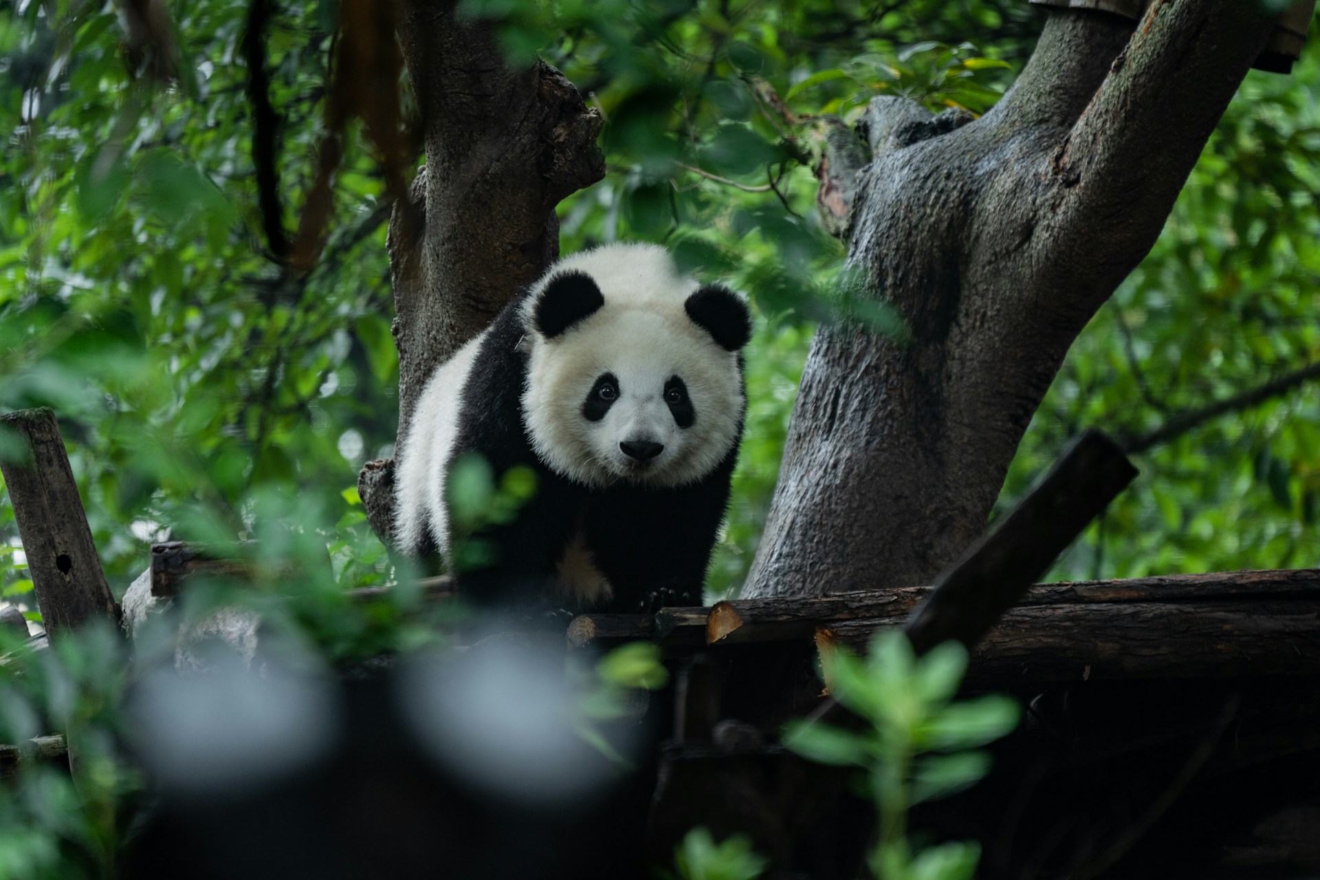 places to visit in china