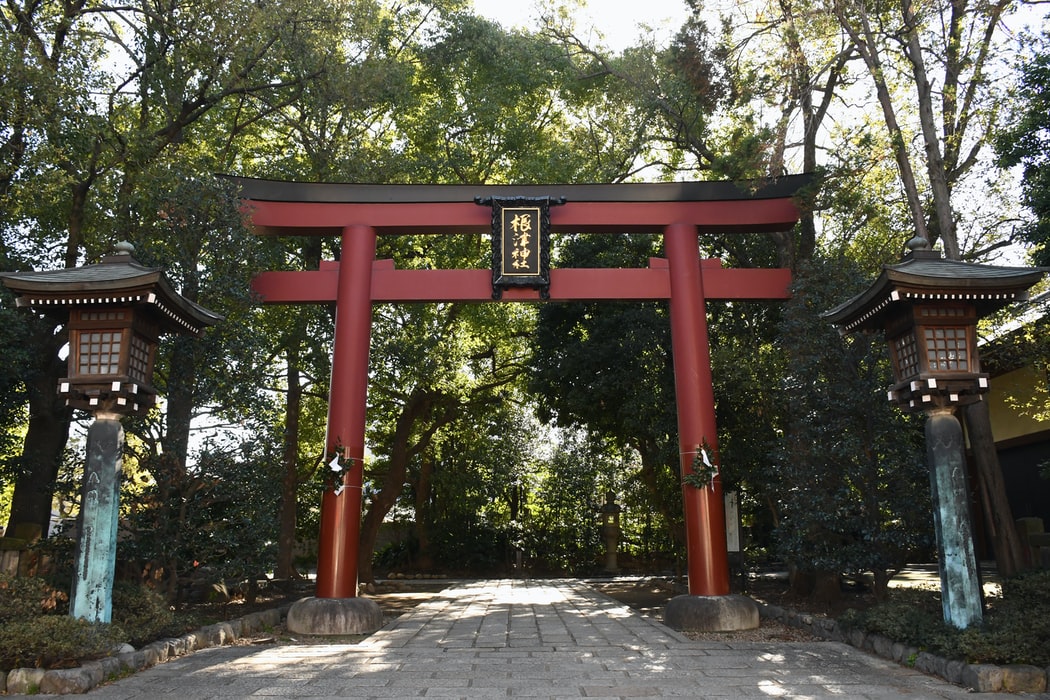 A red shrine gate over a path surrounded by trees