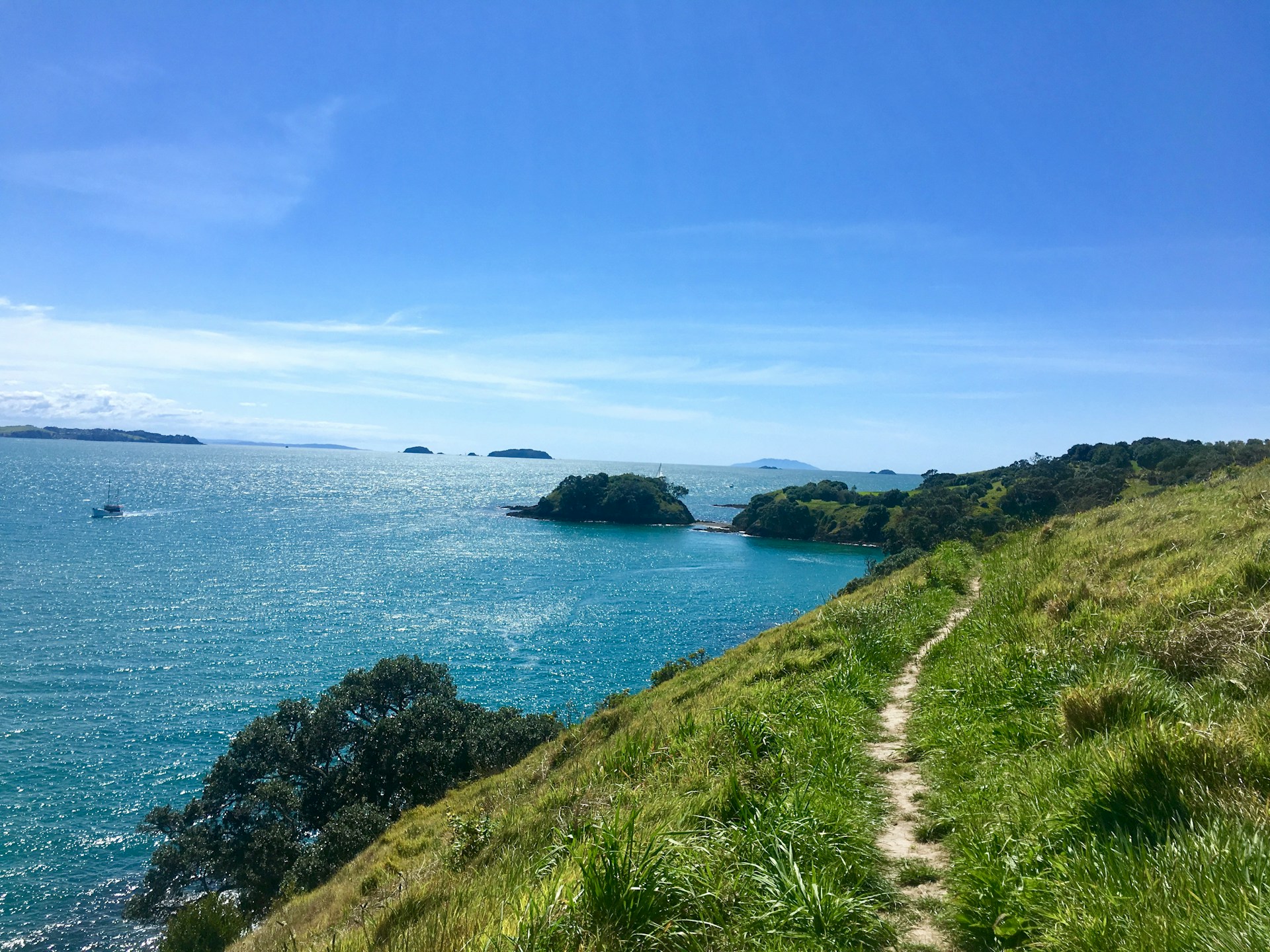 best time to visit auckland