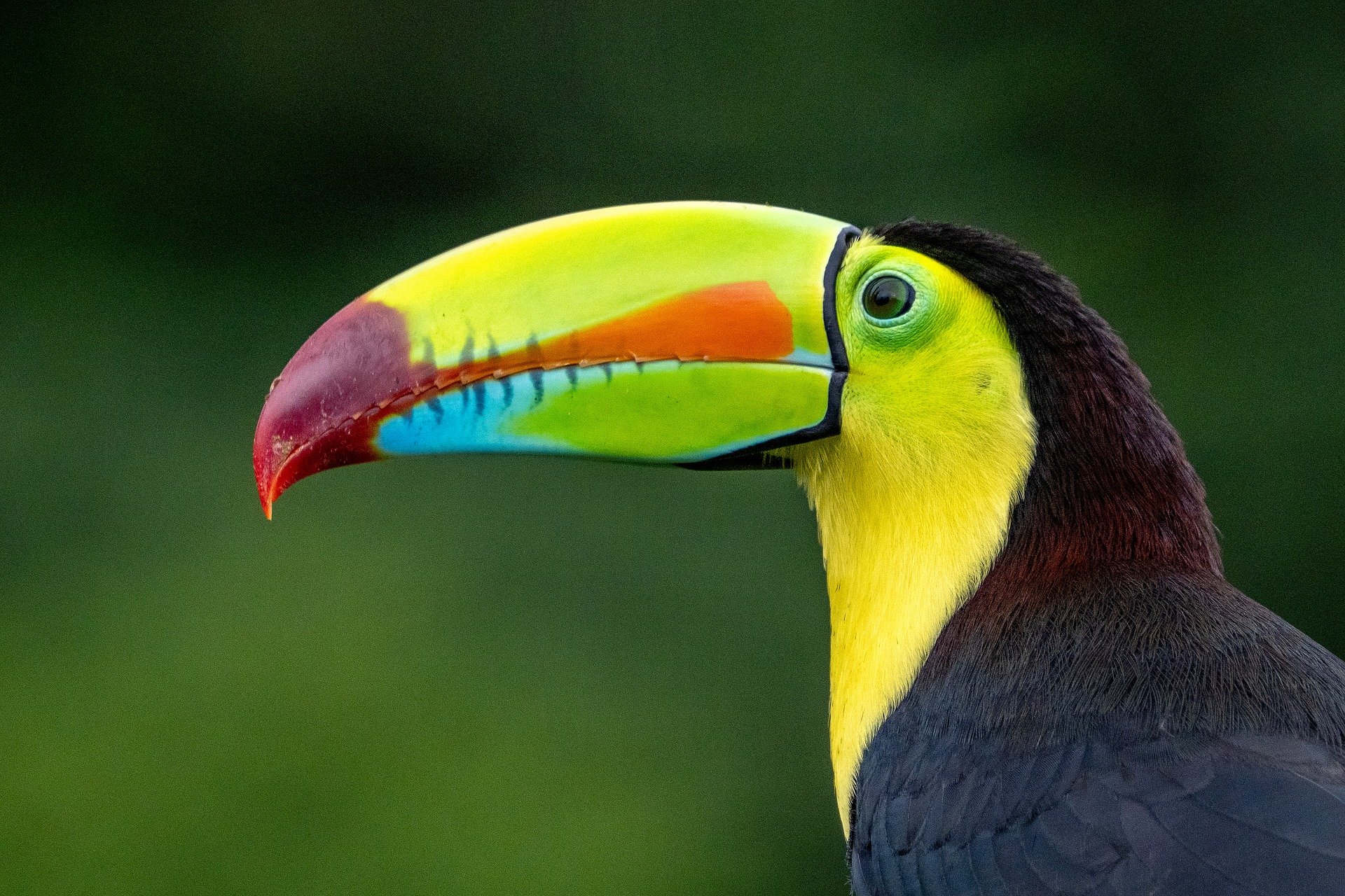 best time to travel to costa rica guanacaste