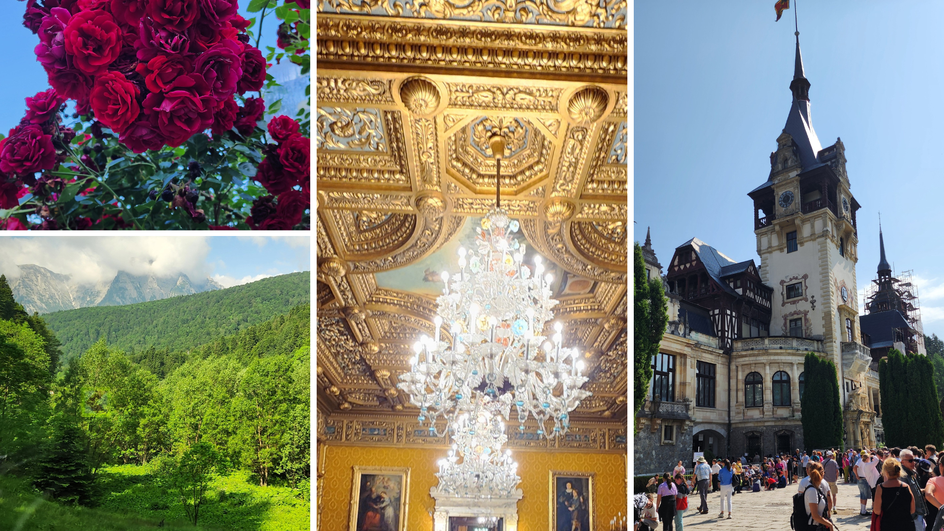 danube river Romania danube river Romania