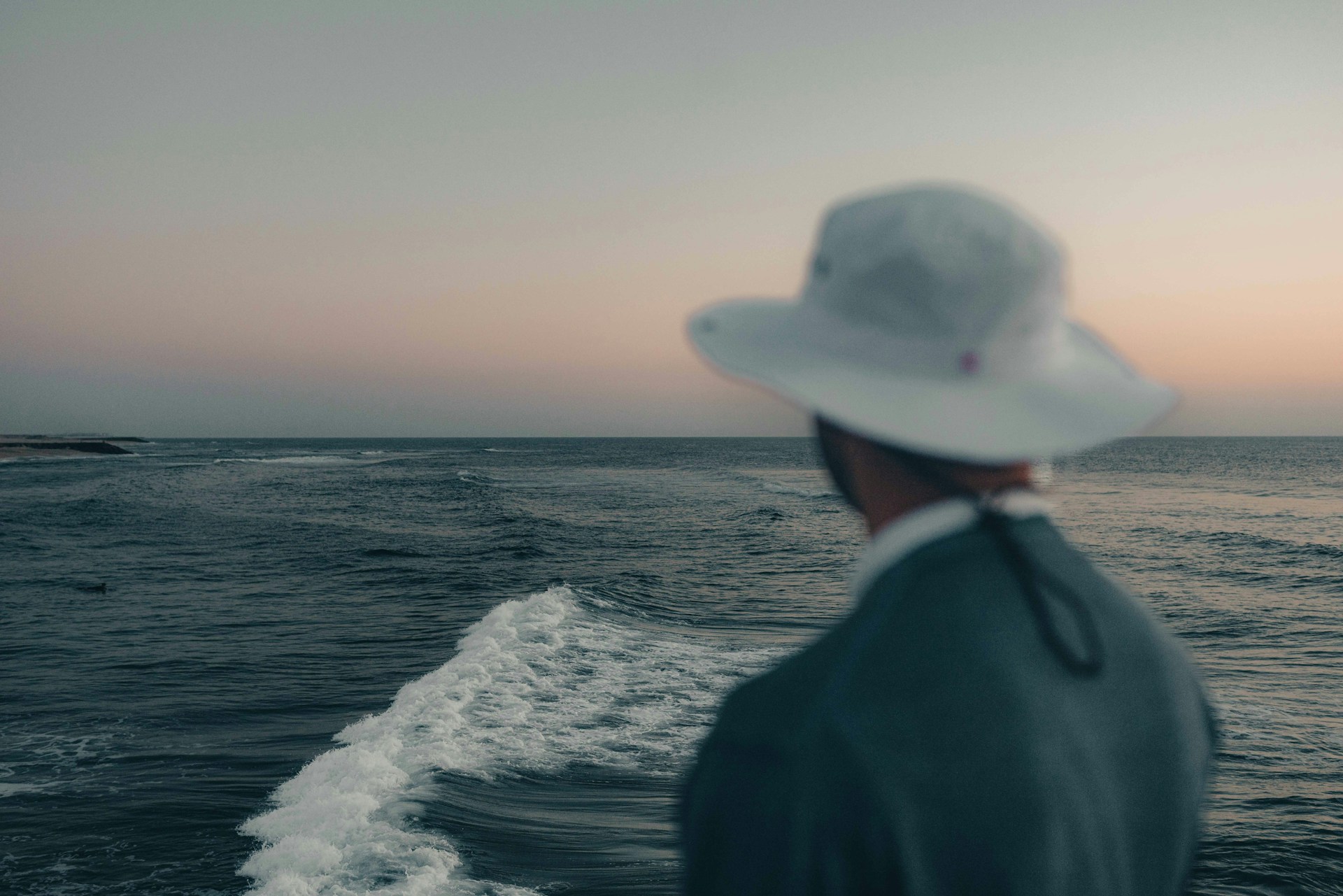 whale watching sunshine coast